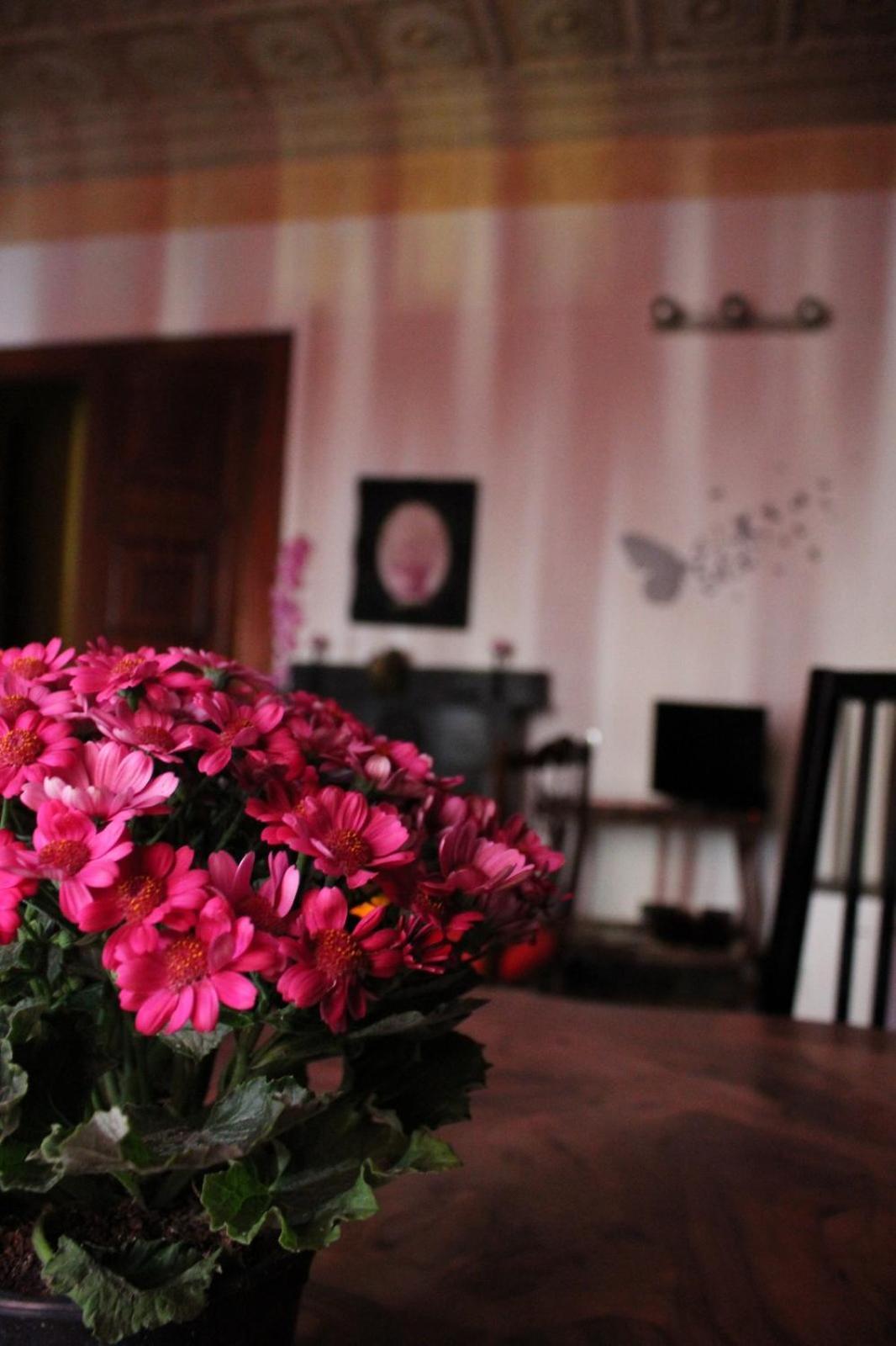 Bed & Breakfast Amarantha Gothica Genoa
