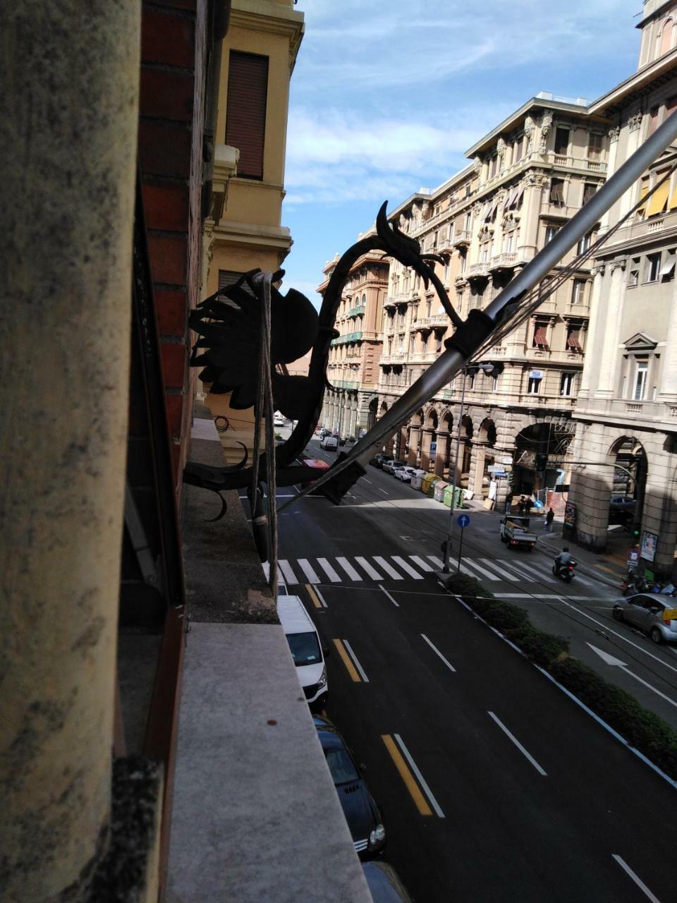 Amarantha Gothica * Genoa